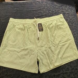 Green Striped Men's Shorts